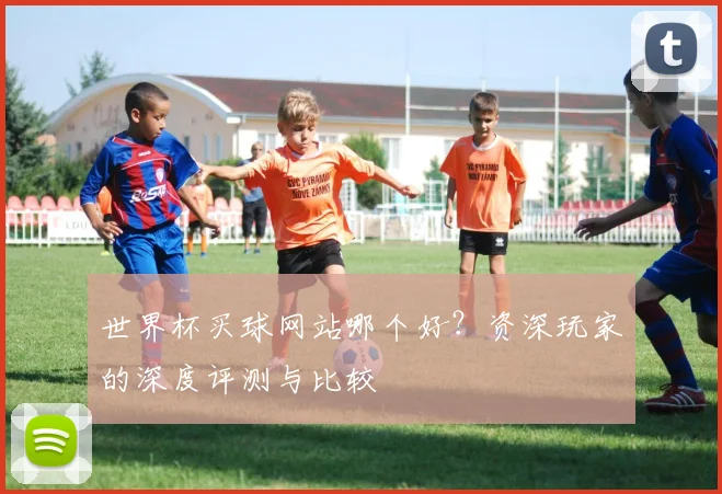 世界杯买球网站哪个好？资深玩家的深度评测与比较