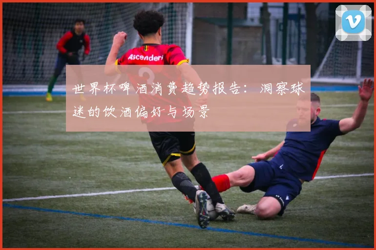 世界杯啤酒消费趋势报告：洞察球迷的饮酒偏好与场景
