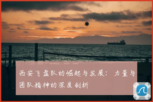 西安飞盘队的崛起与发展：力量与团队精神的深度剖析