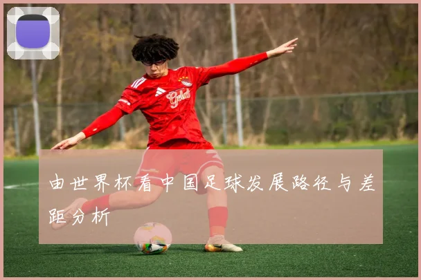 由世界杯看中国足球发展路径与差距分析