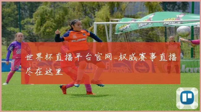 世界杯直播平台官网_权威赛事直播尽在这里
