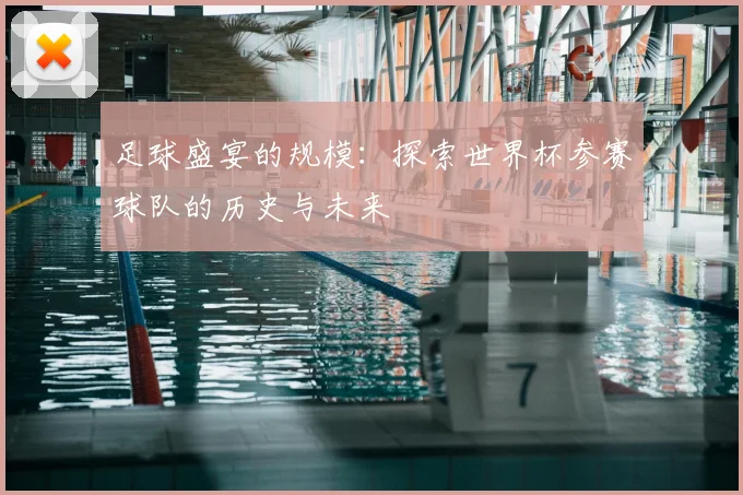足球盛宴的规模：探索世界杯参赛球队的历史与未来