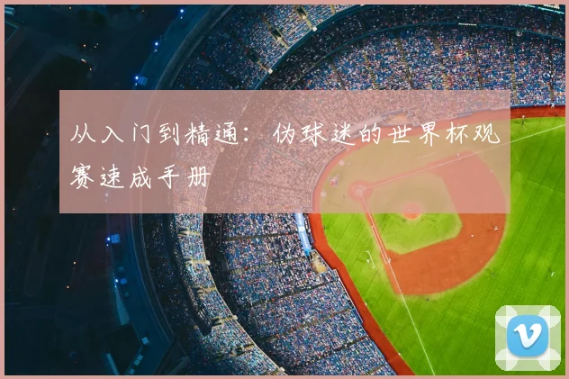 从入门到精通：伪球迷的世界杯观赛速成手册