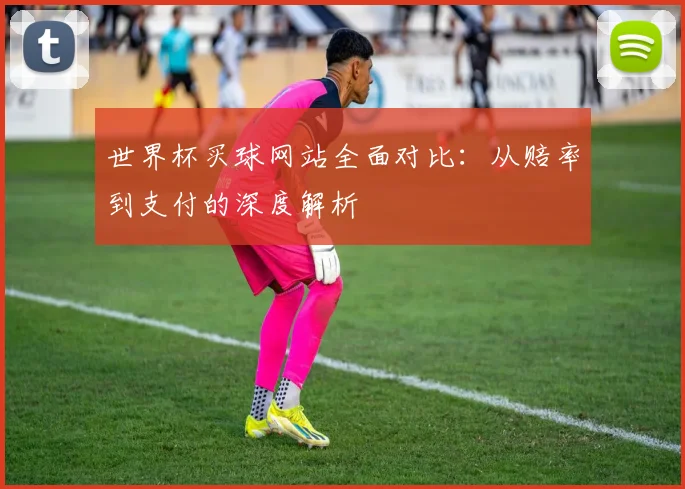 世界杯买球网站全面对比:从赔率到支付的深度解析