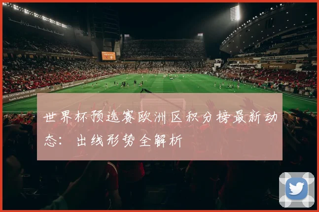 世界杯预选赛欧洲区积分榜最新动态：出线形势全解析