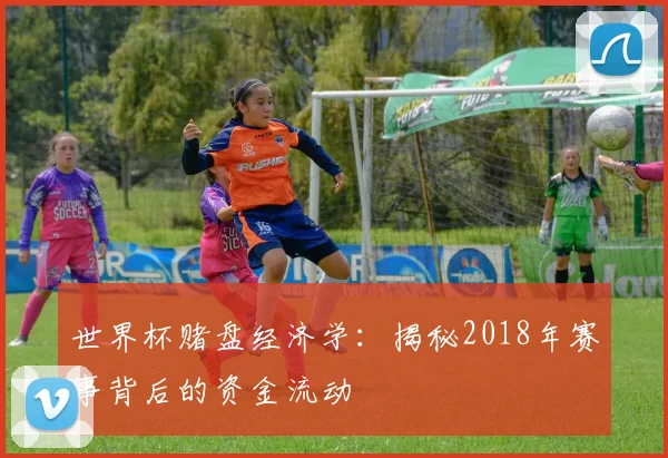 世界杯赌盘经济学：揭秘2018年赛事背后的资金流动