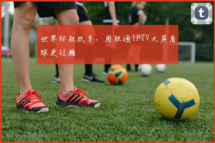 世界杯狂欢季，用联通IPTV大屏看球更过瘾