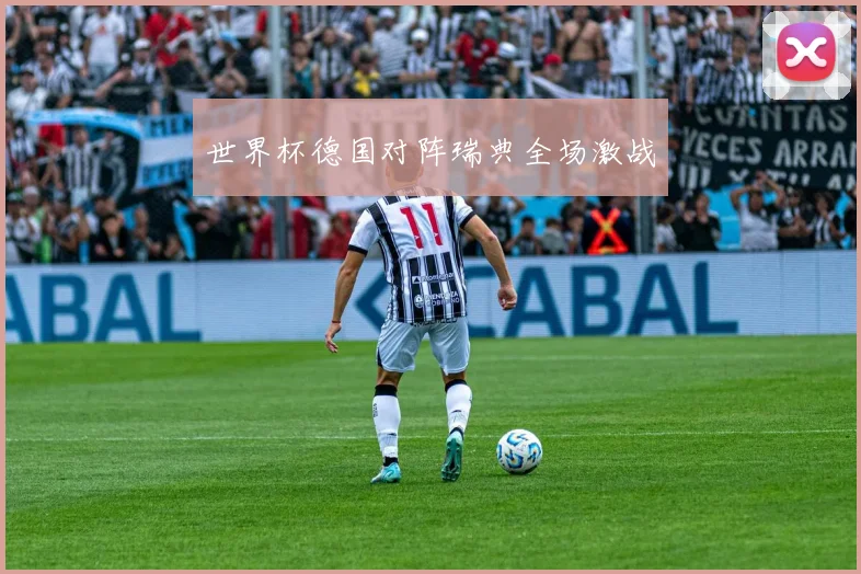 世界杯德国对阵瑞典全场激战
