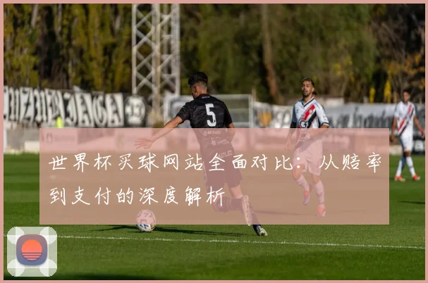世界杯买球网站全面对比：从赔率到支付的深度解析