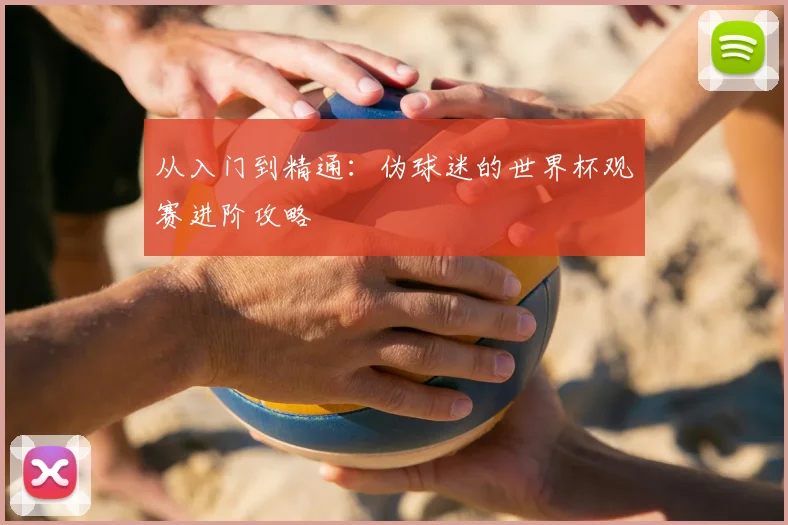 从入门到精通：伪球迷的世界杯观赛进阶攻略