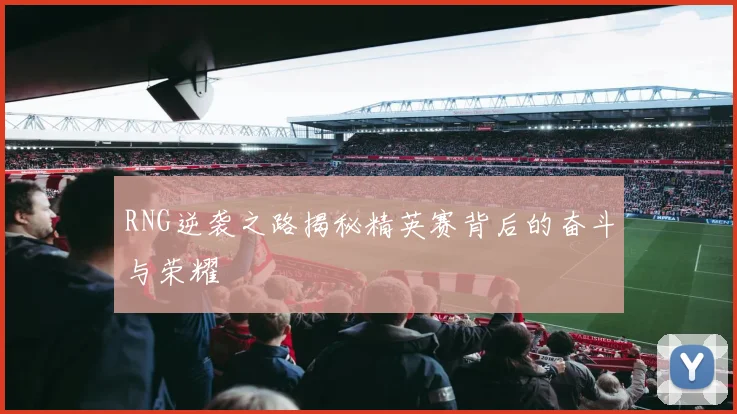 RNG逆袭之路揭秘精英赛背后的奋斗与荣耀