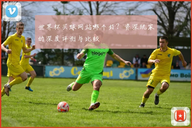 世界杯买球网站哪个好？资深玩家的深度评测与比较
