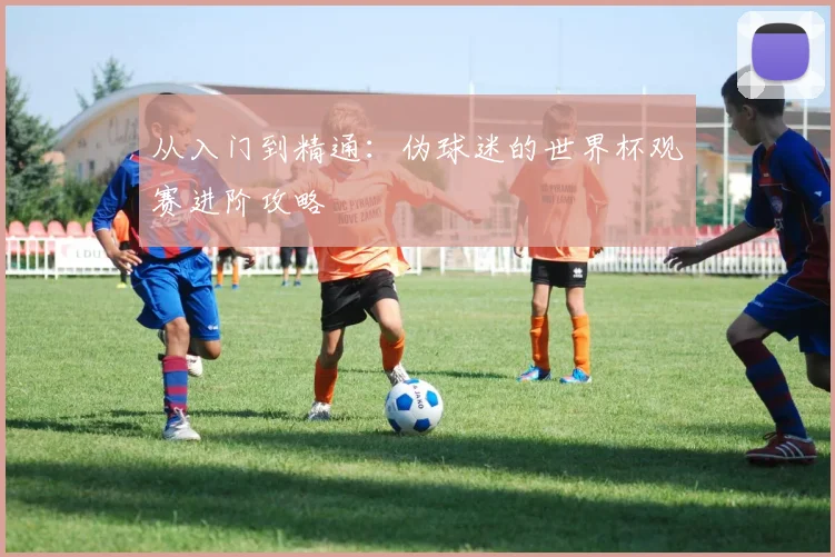 从入门到精通：伪球迷的世界杯观赛进阶攻略