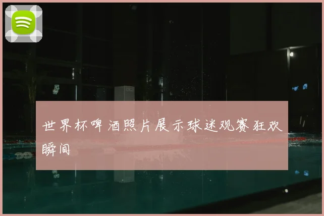 世界杯啤酒照片展示球迷观赛狂欢瞬间